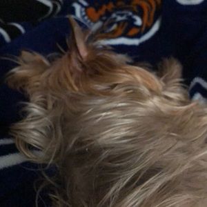 Meet your Posher, Kimberly